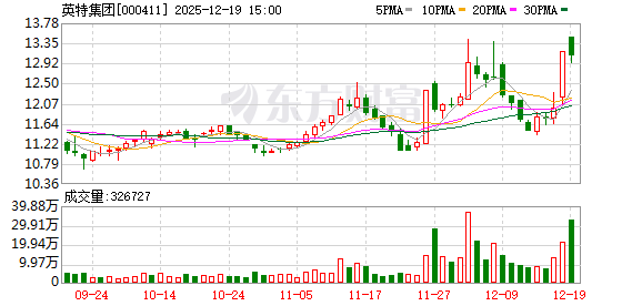 国内正规最好的配资公司 英特集团：2026年1月8日召开2026年第一次临时股东会