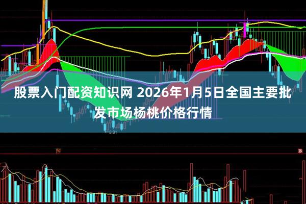 股票入门配资知识网 2026年1月5日全国主要批发市场杨桃价格行情